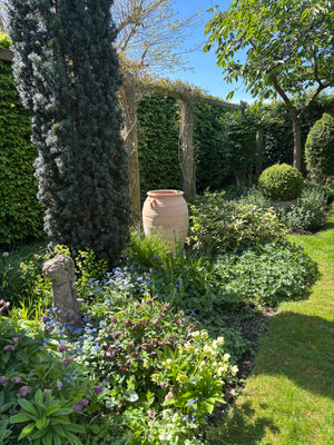 Bala Cretan Terracotta Pot thumbnail-image-7