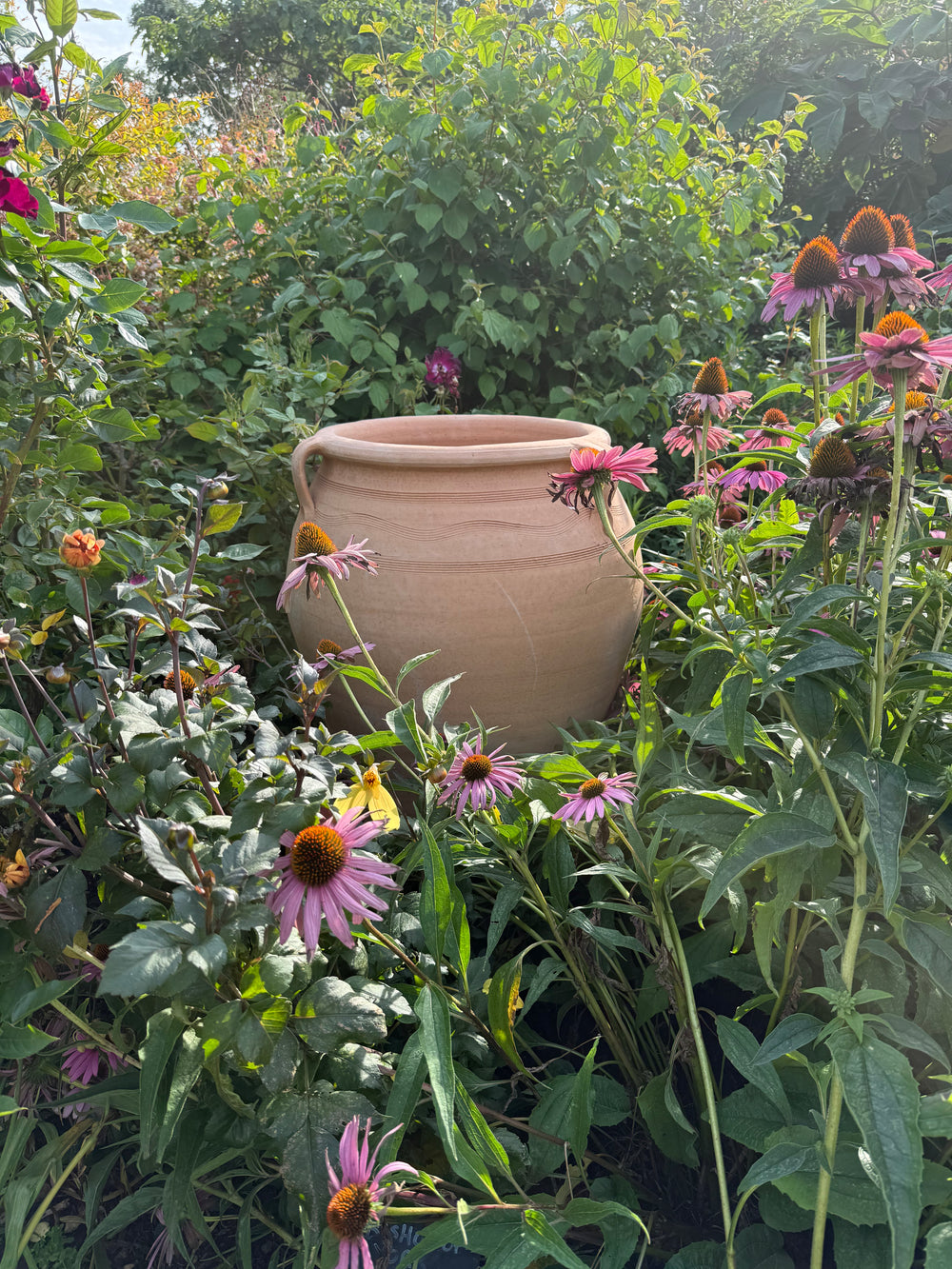 Festos Cretan Terracotta Pot thumbnail-image-13