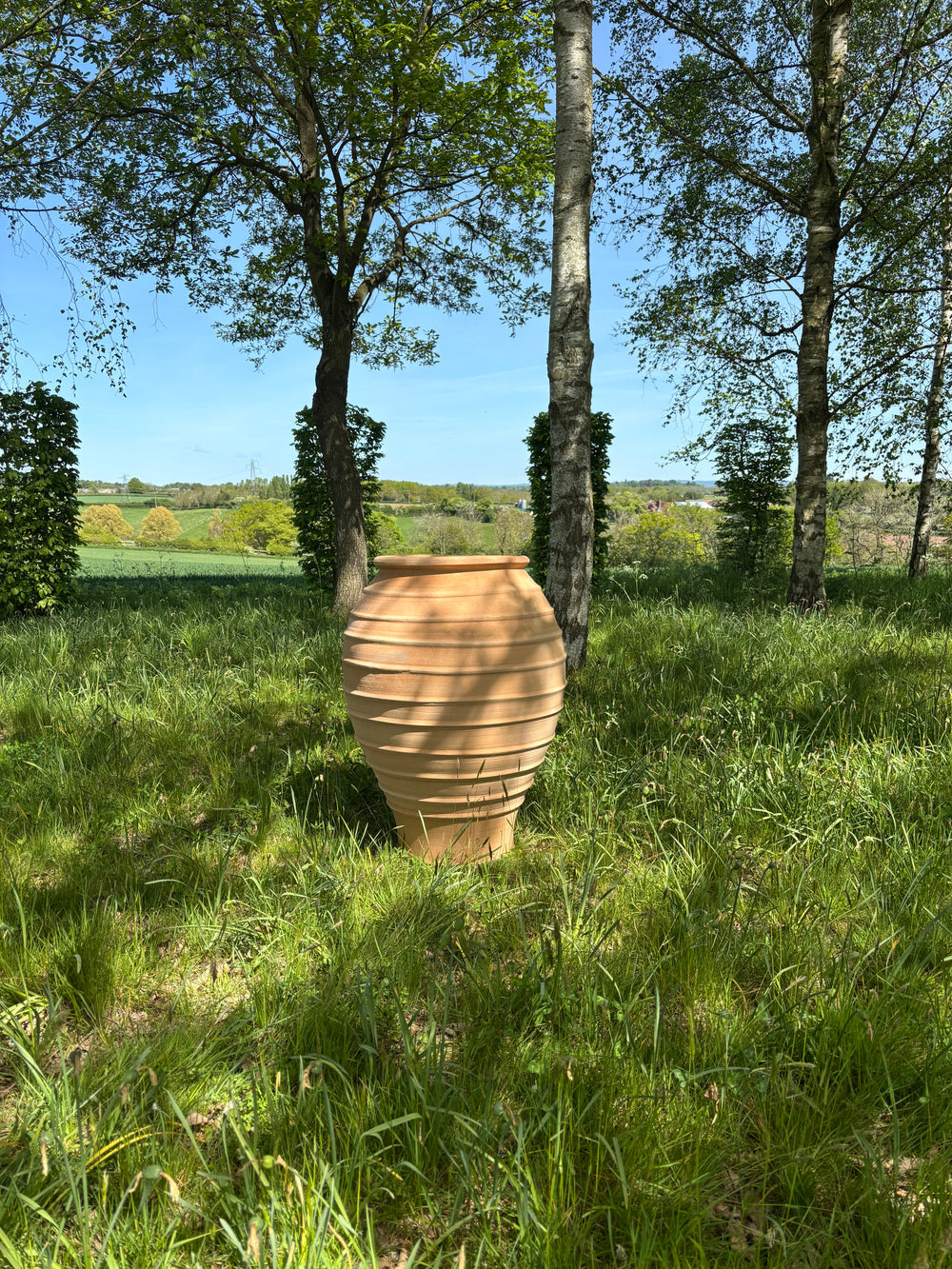 Coronios Cretan Terracotta Pot thumbnail-image-6