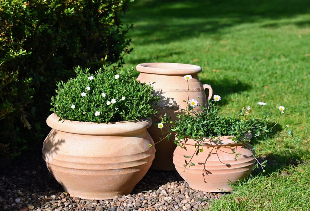 Agora Cretan Terracotta Planter thumbnail-image-3