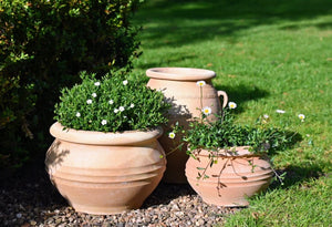 Agora Cretan Terracotta Planter thumbnail-image-3