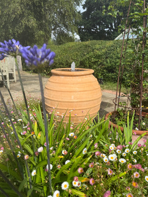 Coronios Water Feature thumbnail-image-2